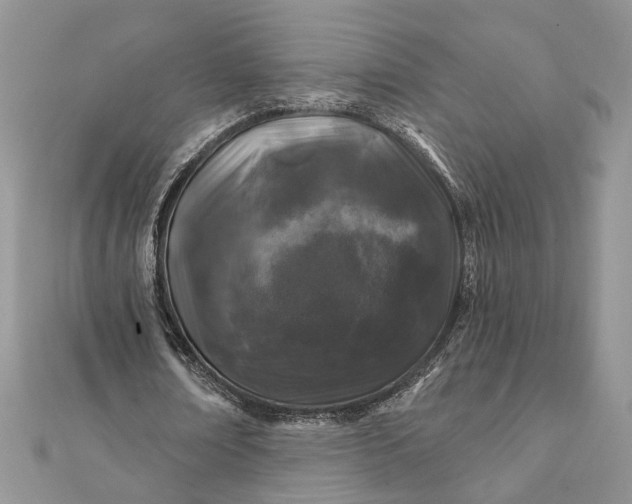 X0000112060674200908181158