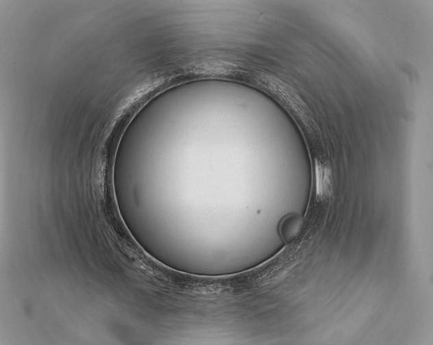 X0000112060675200908181158