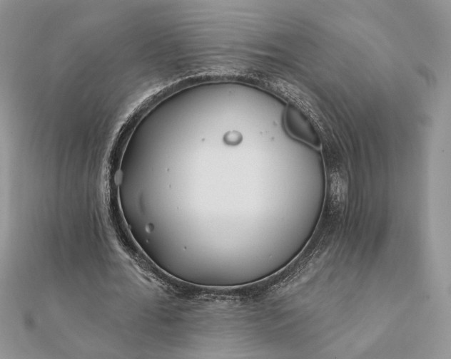 X0000112060676200908181158