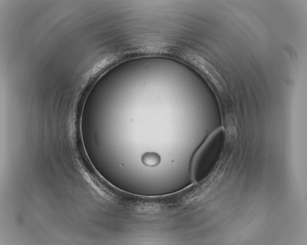 X0000112060677200908181158