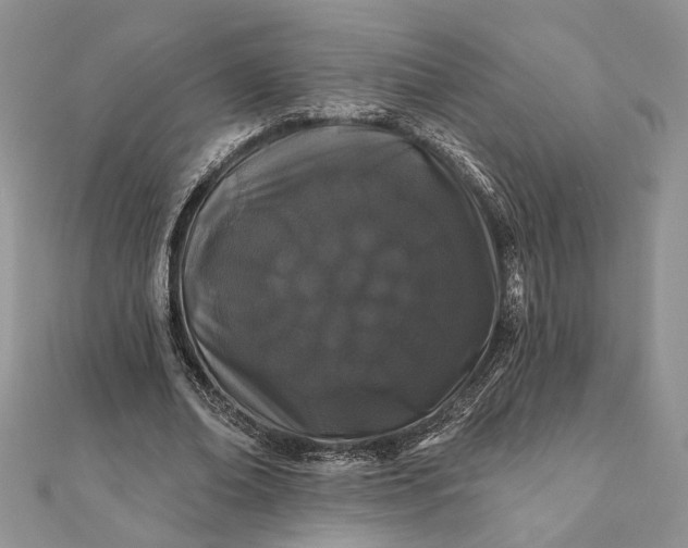 X0000112060678200908181158