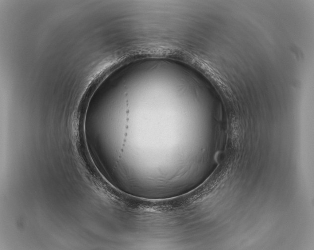 X0000112060679200908181158