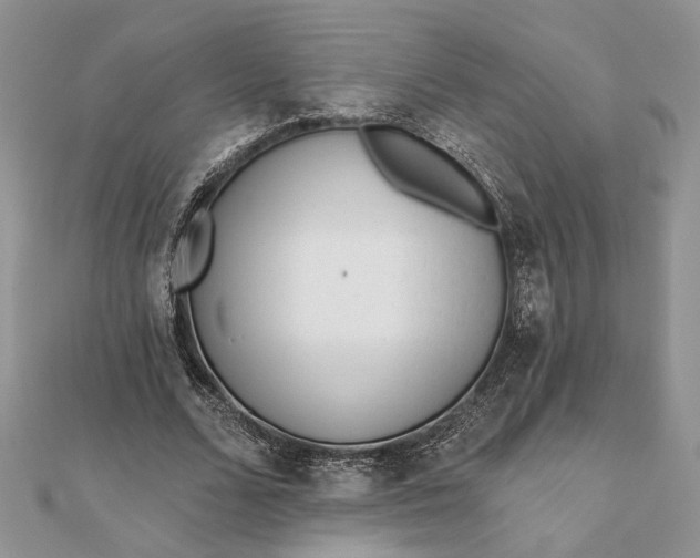 X0000112060680200908181158