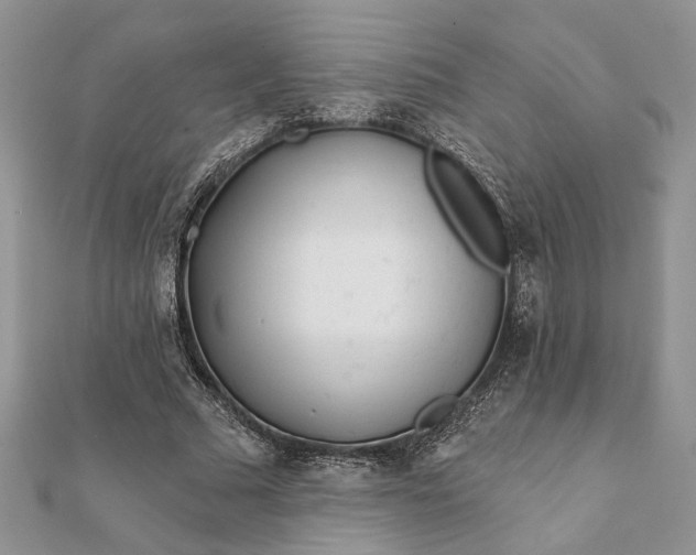 X0000112060681200908181158