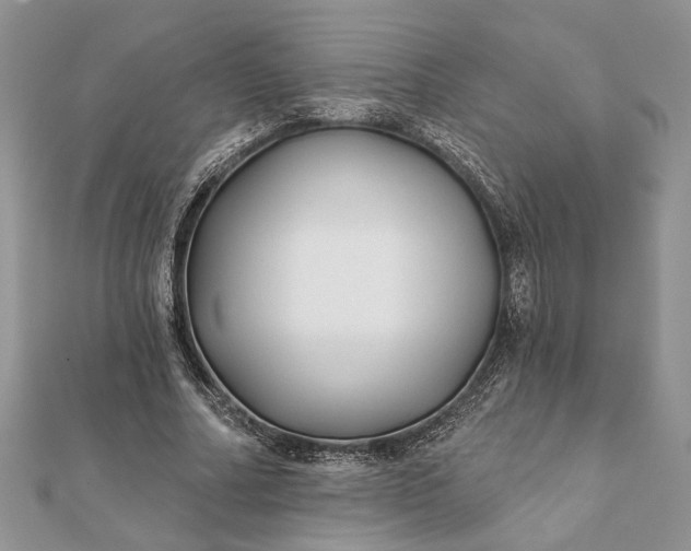 X0000112060682200908181158