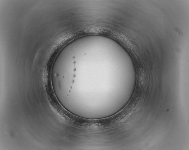 X0000112060683200908181158