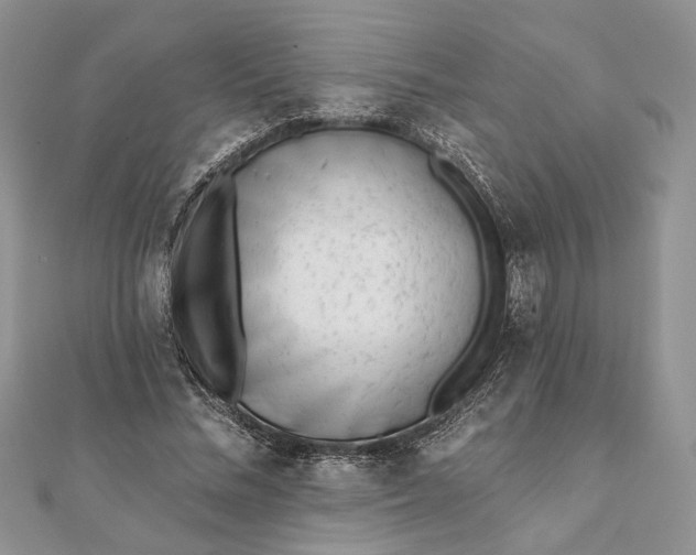 X0000112060684200908181158