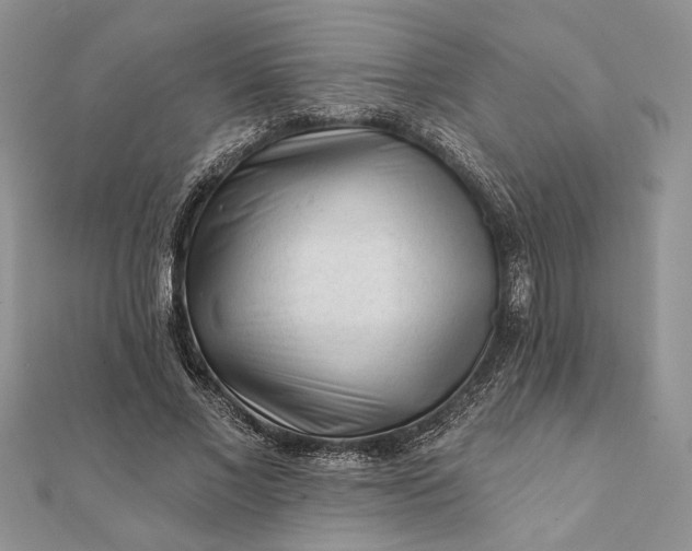 X0000112060685200908181158