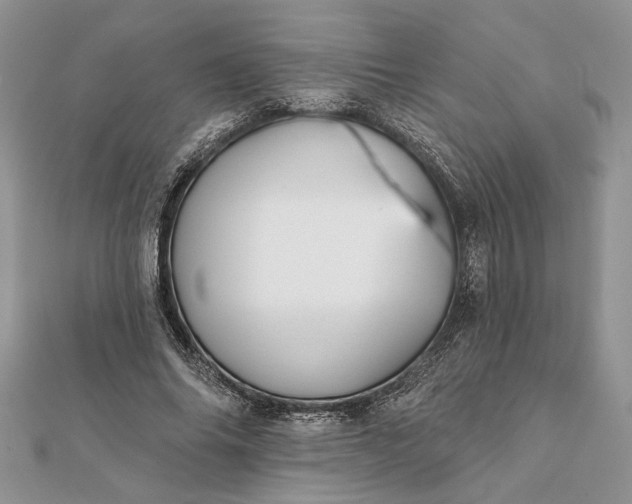 X0000112060686200908181158