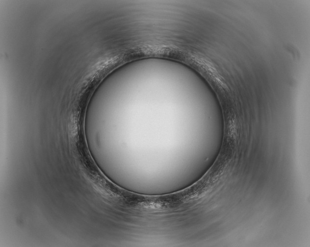 X0000112060687200908181158