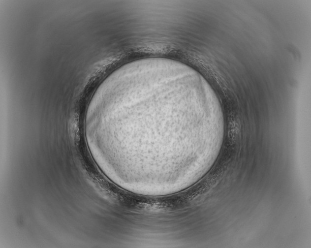 X0000112060688200908181158