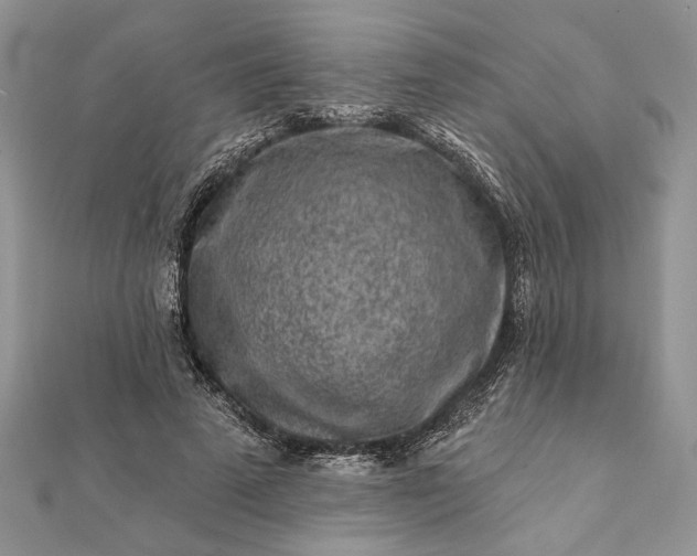 X0000112060689200908181158