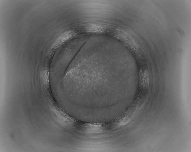 X0000112060692200908181158