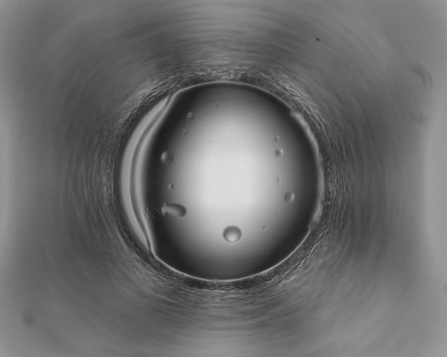 X0000112060693200908181158