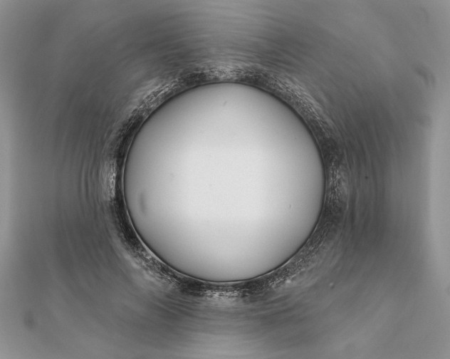 X0000112060694200908181158