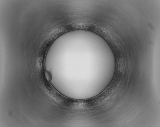 X0000112060695200908181158