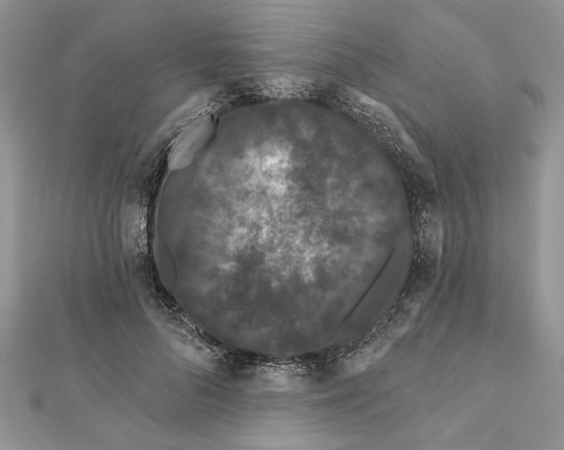 X0000112060696200908181158