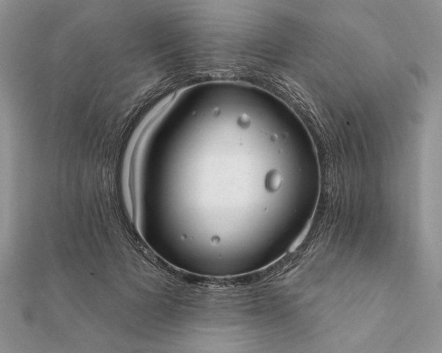 X0000112060697200908181158