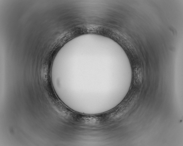 X0000112060698200908181158