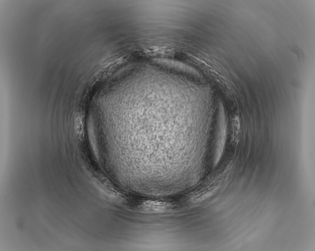 X0000112060699200908181158