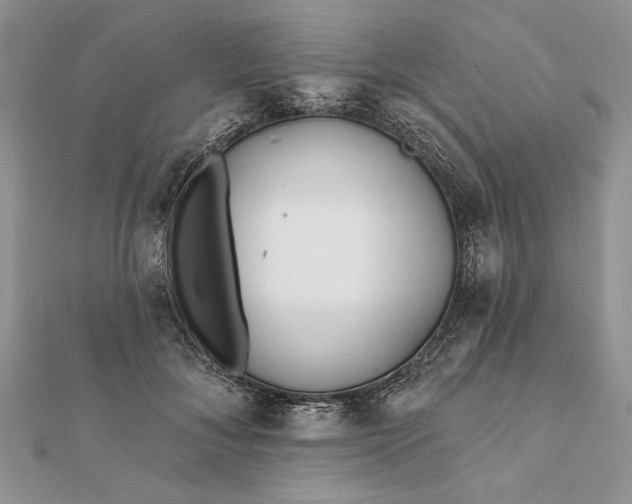 X0000112060700200908181158