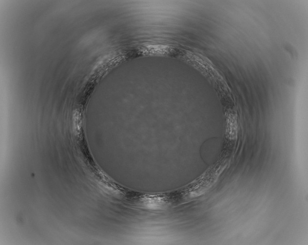 X0000112060701200908181158