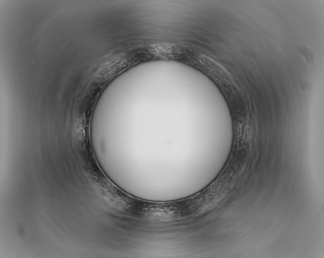 X0000112060702200908181158