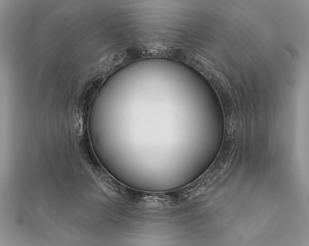 X0000112060703200908181158