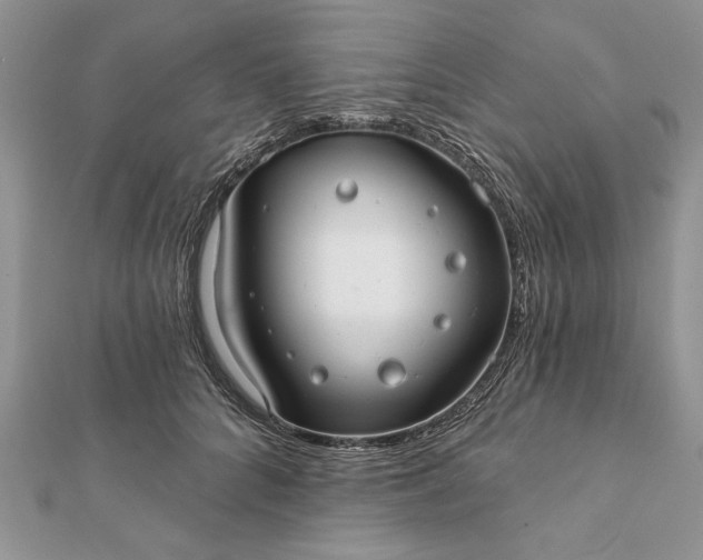 X0000112060704200908181158