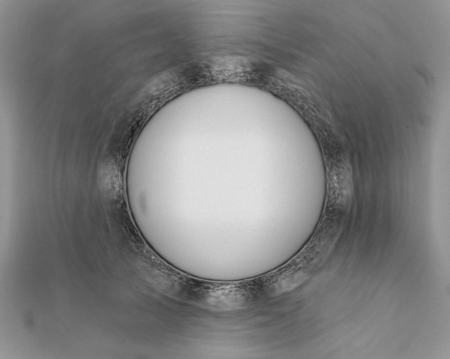 X0000112060705200908181158