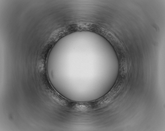 X0000112060706200908181158