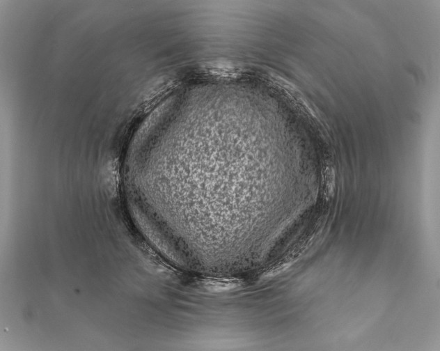 X0000112060707200908181158