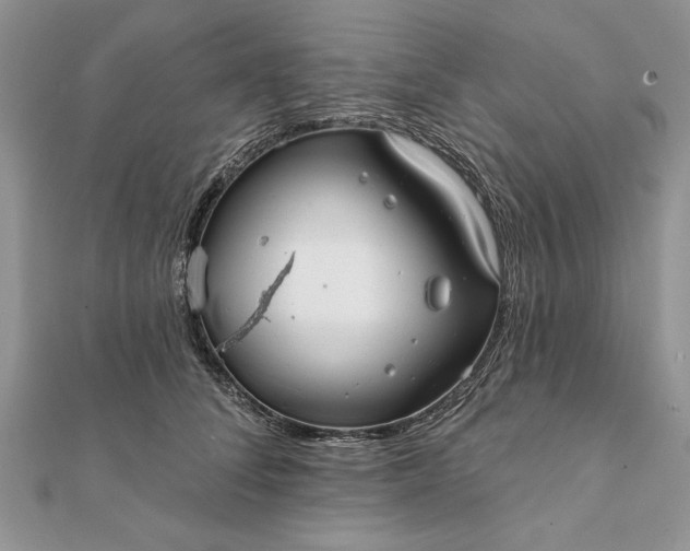 X0000112060708200908181158