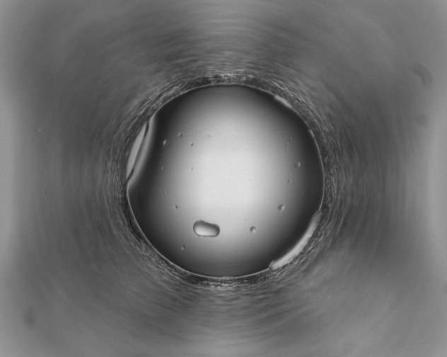 X0000112060709200908181158