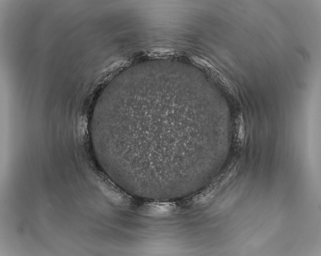 X0000112060711200908181158