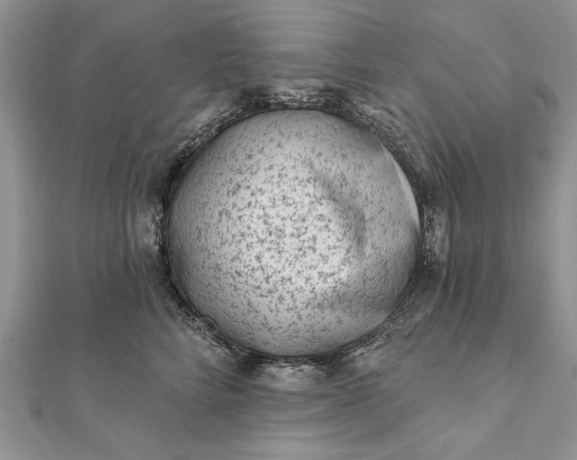 X0000112060712200908181158