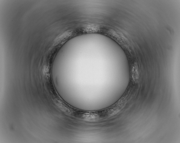 X0000112060714200908181158