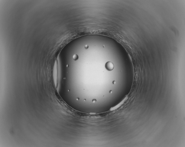 X0000112060716200908181158