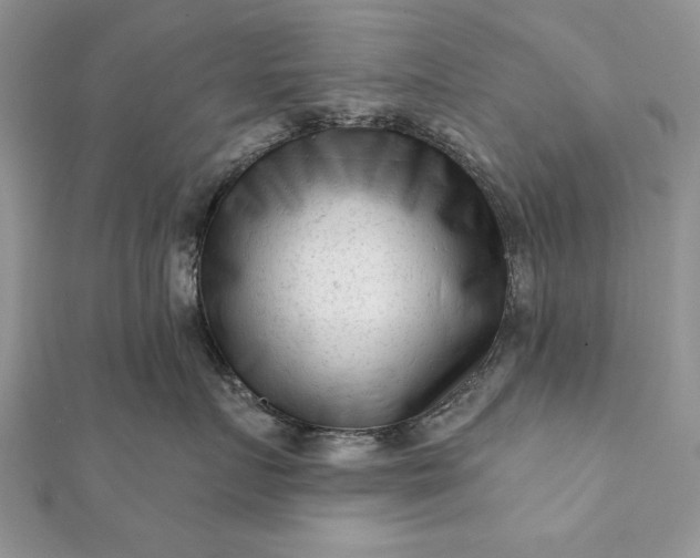 X0000112060719200908181158