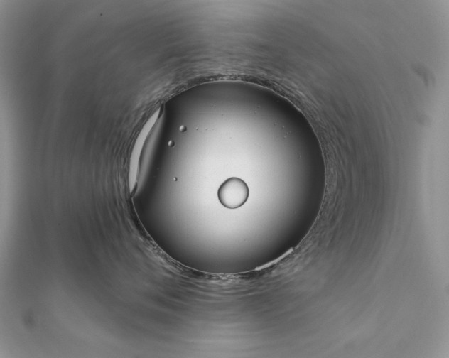 X0000112060720200908181158