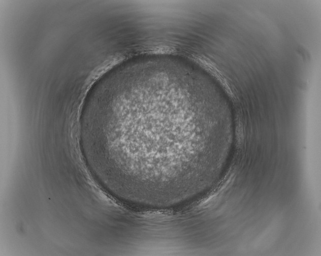 X0000112060721200908181157