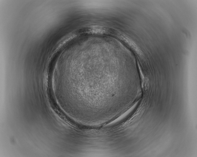 X0000112060722200908181157