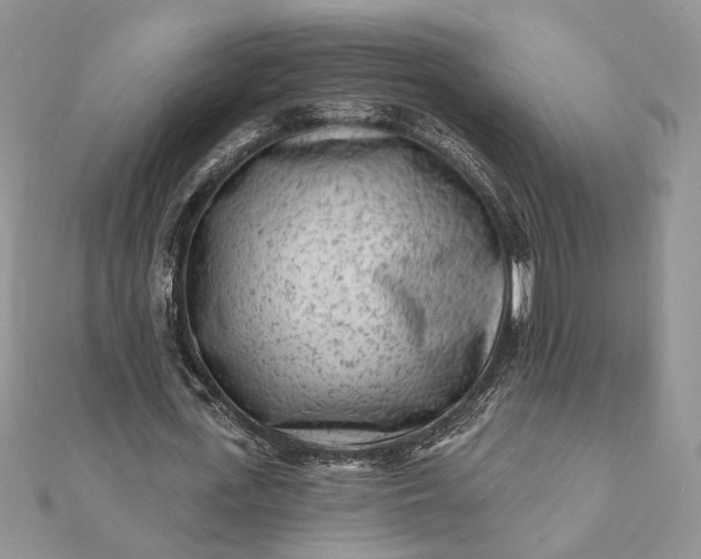 X0000112060723200908181157