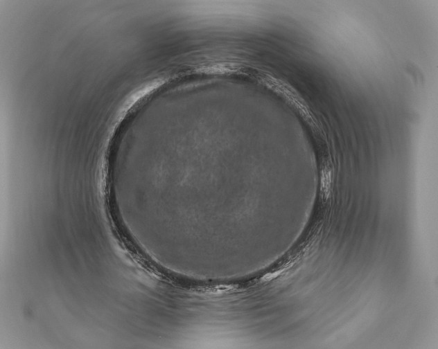 X0000112060724200908181157