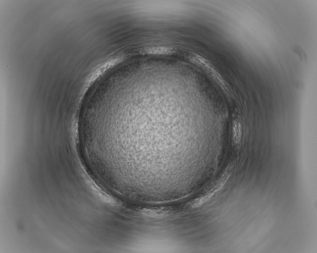 X0000112060725200908181157