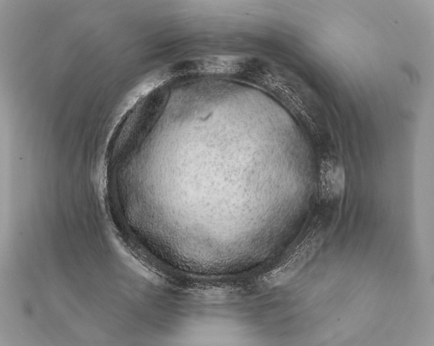 X0000112060726200908181157