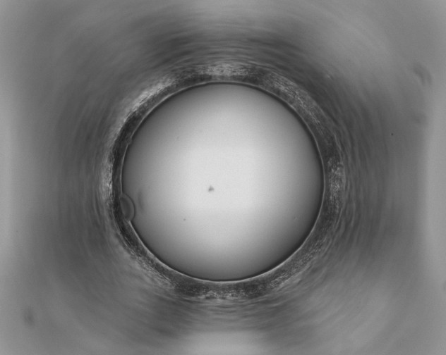 X0000112060727200908181157