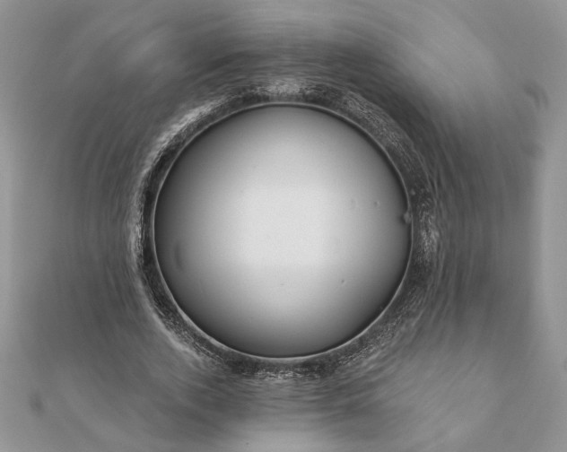 X0000112060728200908181157