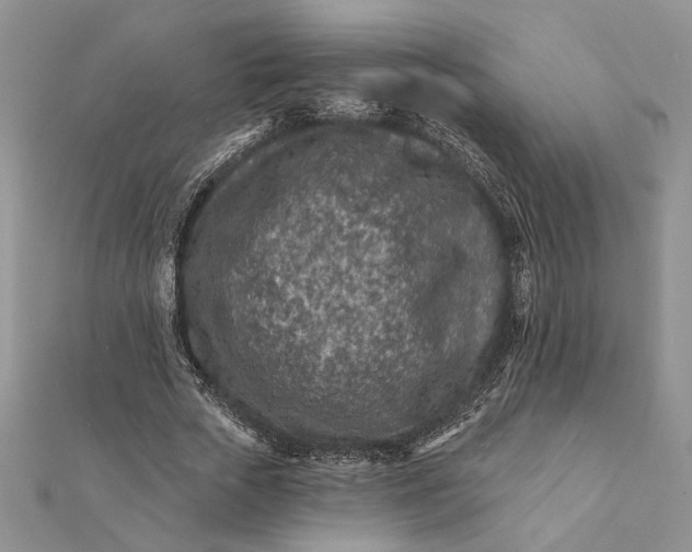 X0000112060729200908181157