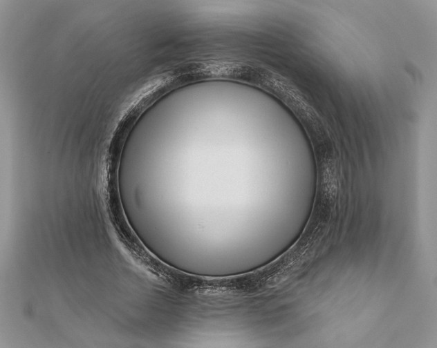 X0000112060730200908181157